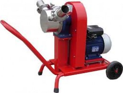 antlia_lastixofora_002