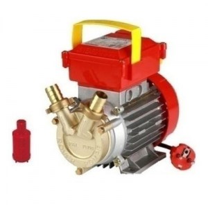 antlia_metaggisis_08